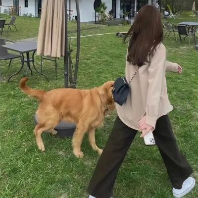 飞驰人生